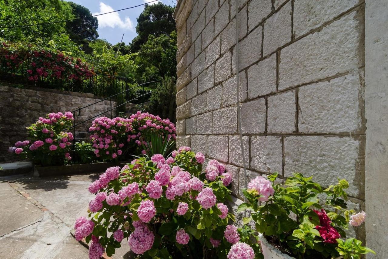 Apartment Djivo Dubrovnik Buitenkant foto